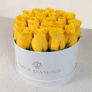 Classic Box Yellow