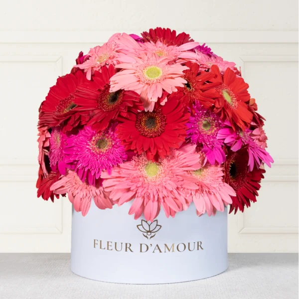 Domo de gerberas, caja blanca con 40 a 45 gerberas que dan forma de domo al arreglo.