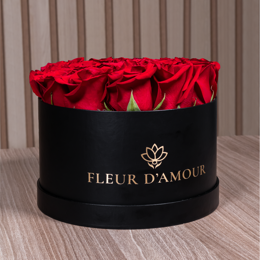 Formato Web copia@2x